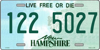 NH license plate 1225027