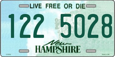 NH license plate 1225028