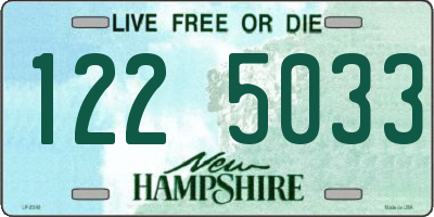 NH license plate 1225033