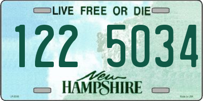 NH license plate 1225034