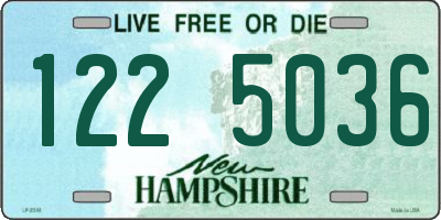NH license plate 1225036