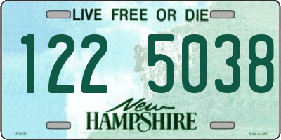 NH license plate 1225038