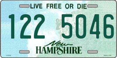 NH license plate 1225046