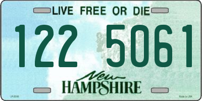 NH license plate 1225061