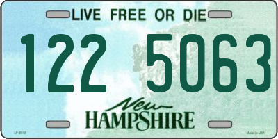 NH license plate 1225063