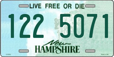NH license plate 1225071