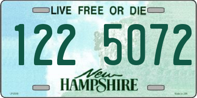 NH license plate 1225072