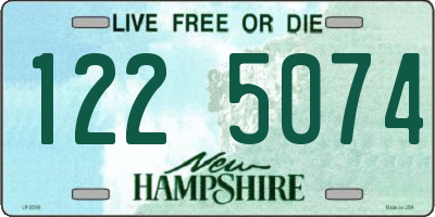 NH license plate 1225074