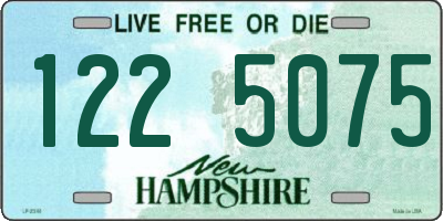 NH license plate 1225075