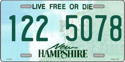 NH license plate 1225078