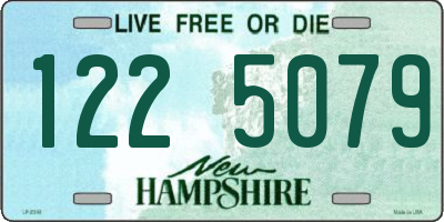 NH license plate 1225079