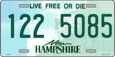 NH license plate 1225085