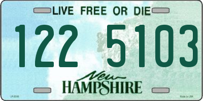 NH license plate 1225103