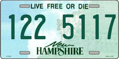 NH license plate 1225117