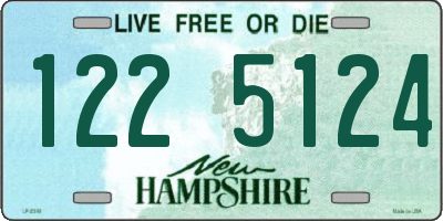 NH license plate 1225124