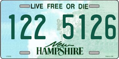 NH license plate 1225126