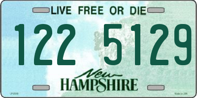 NH license plate 1225129