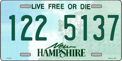 NH license plate 1225137