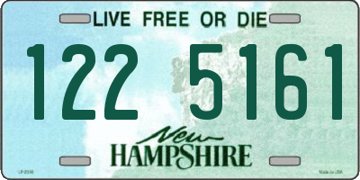 NH license plate 1225161