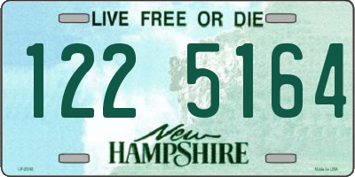 NH license plate 1225164