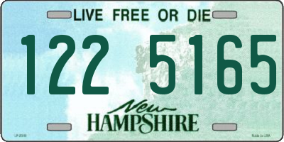 NH license plate 1225165