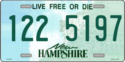NH license plate 1225197