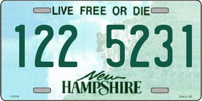 NH license plate 1225231