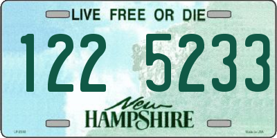 NH license plate 1225233