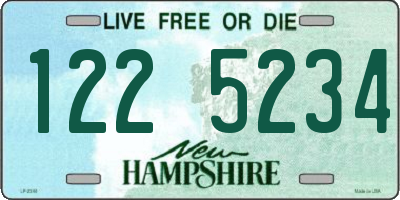 NH license plate 1225234