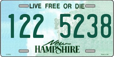 NH license plate 1225238