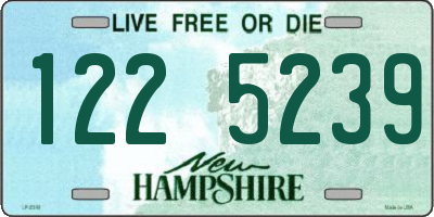 NH license plate 1225239