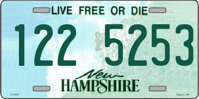 NH license plate 1225253
