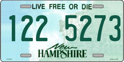 NH license plate 1225273