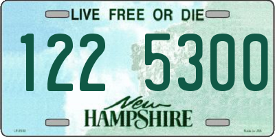 NH license plate 1225300