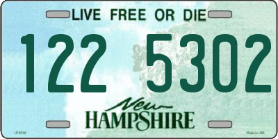 NH license plate 1225302