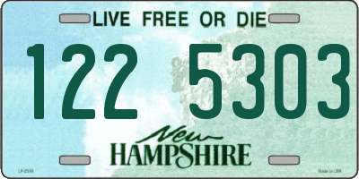 NH license plate 1225303