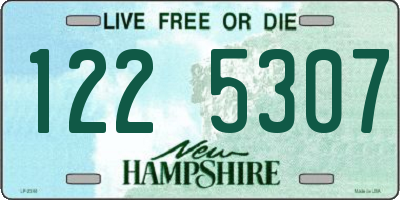 NH license plate 1225307