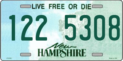 NH license plate 1225308