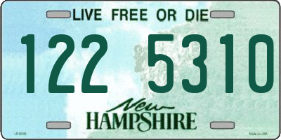 NH license plate 1225310