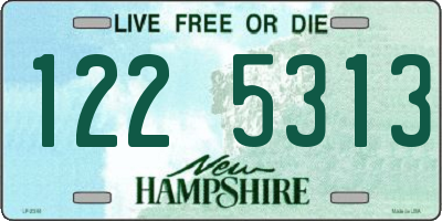NH license plate 1225313