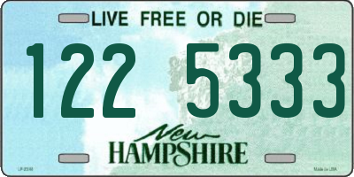 NH license plate 1225333