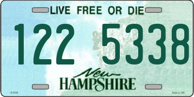 NH license plate 1225338