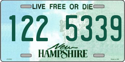 NH license plate 1225339