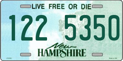 NH license plate 1225350