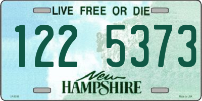 NH license plate 1225373