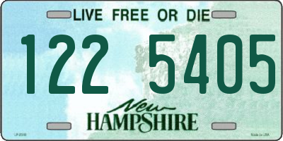 NH license plate 1225405
