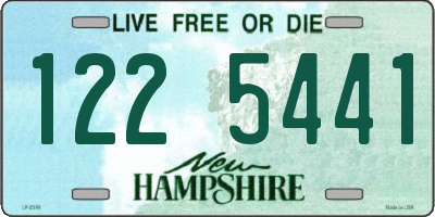 NH license plate 1225441