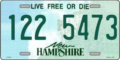 NH license plate 1225473