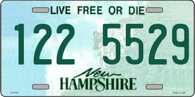 NH license plate 1225529