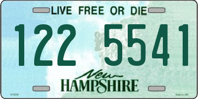 NH license plate 1225541